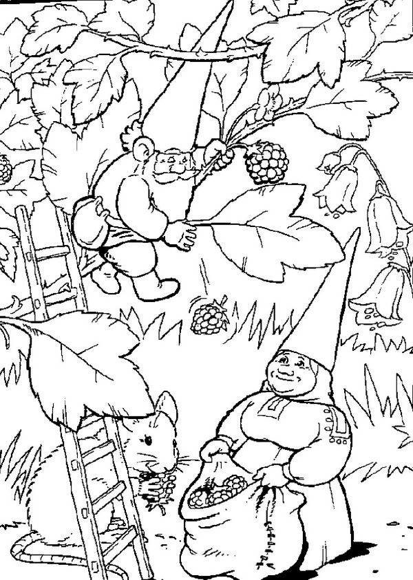 Kids-n-fun.com | Coloring page David the Gnome David the Gnome